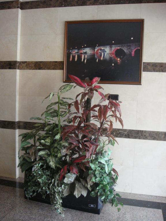Hostal Serpol Palencia Ngoại thất bức ảnh
